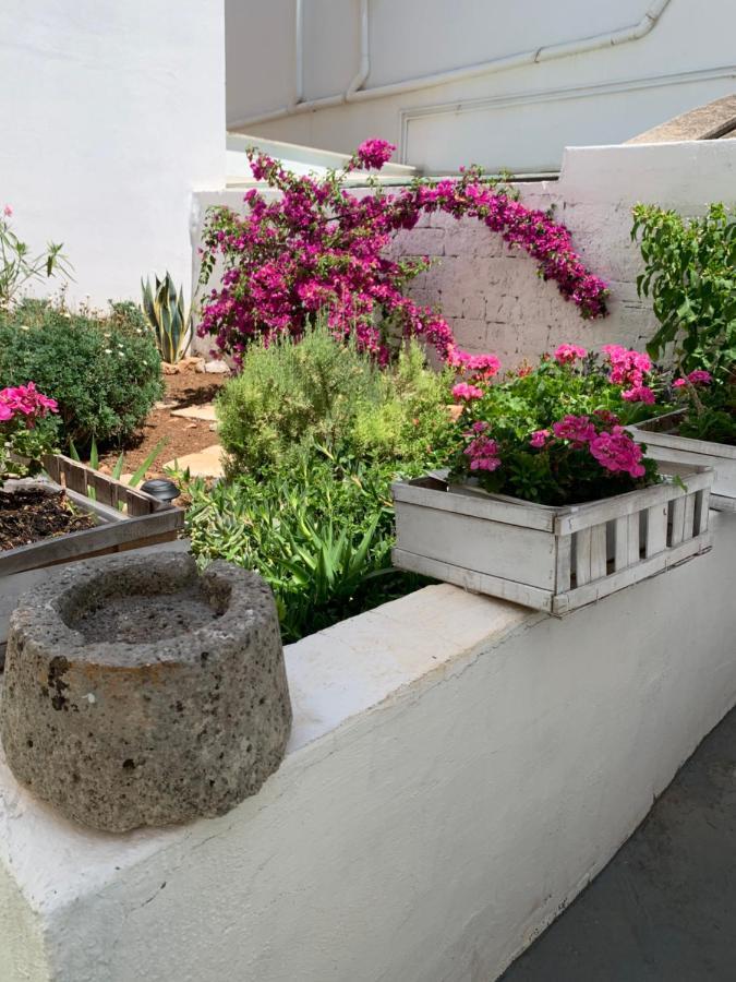 Le Cummerse In Centro Alberobello Exterior photo